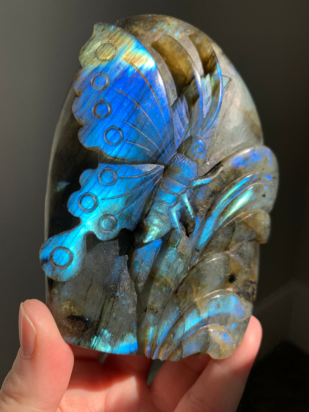 Labradorite Carvings