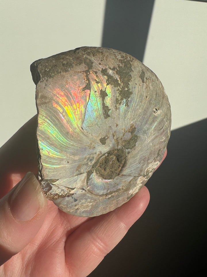 Iridescent Ammonite Fossil 3 | 159g