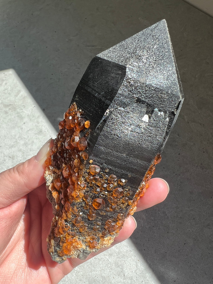 Spessartine Garnet on Smoky Quartz Point | 356g