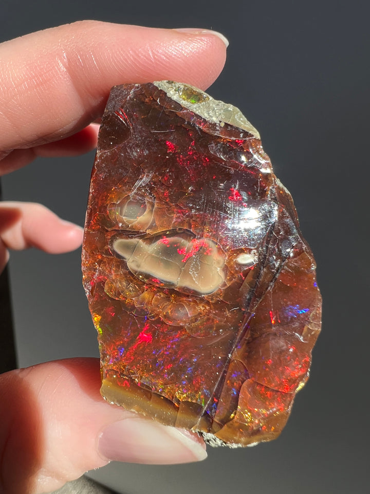 Polished Chocolate Opal (6)