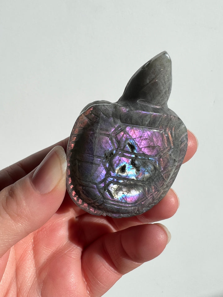 Labradorite Turtle Carving (5)