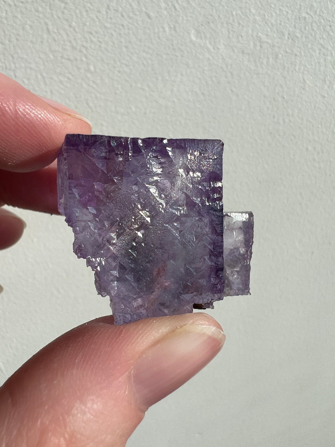 Ojuela Mine Fluorite | 45g