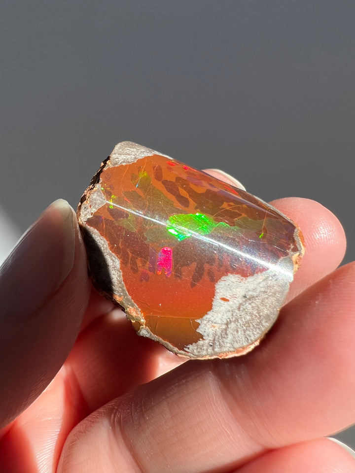 Polished Chocolate Opal (10)