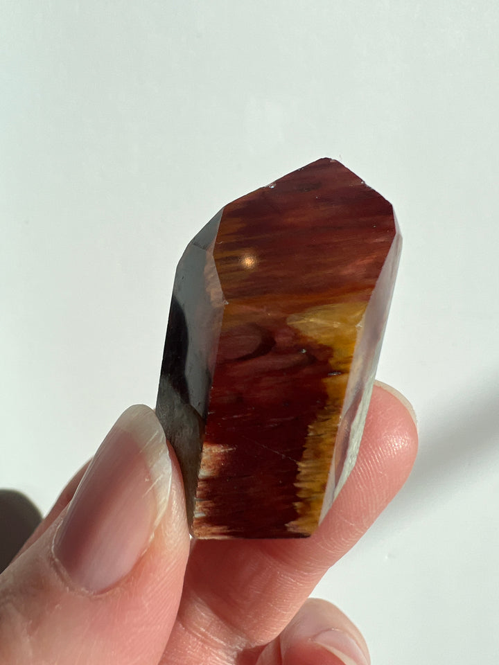 Amphibole Quartz (7)