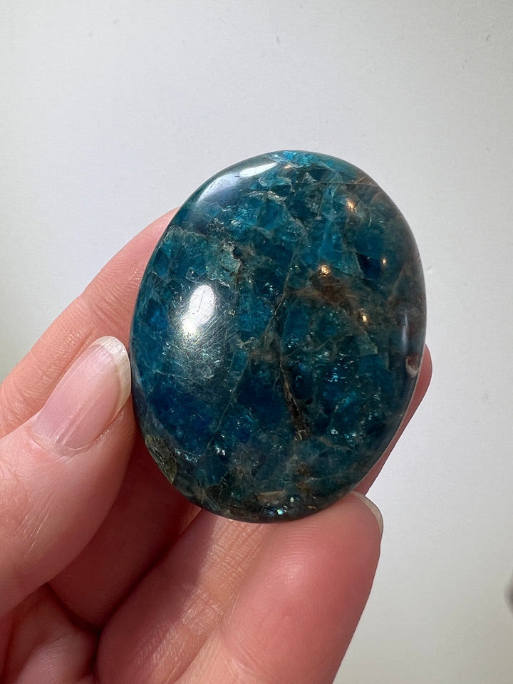 Apatite Palmstone (6)