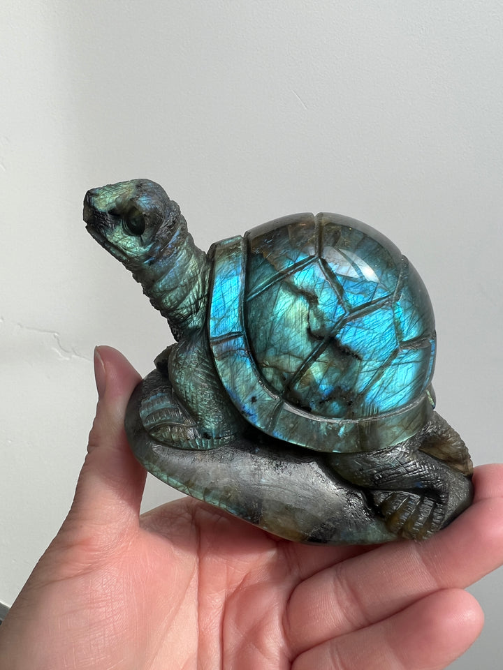 Labradorite Turtle Carving 1