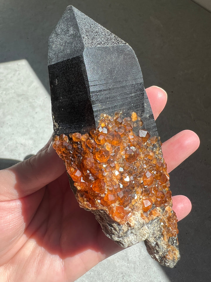 Spessartine Garnet on Smoky Quartz Point | 356g