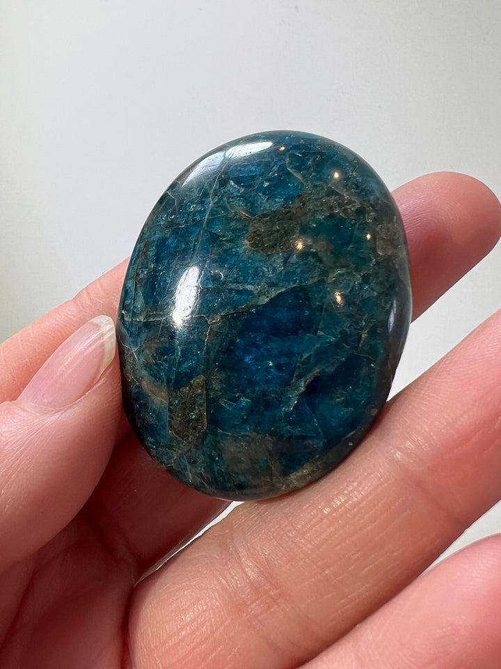 Apatite Palmstone (6)