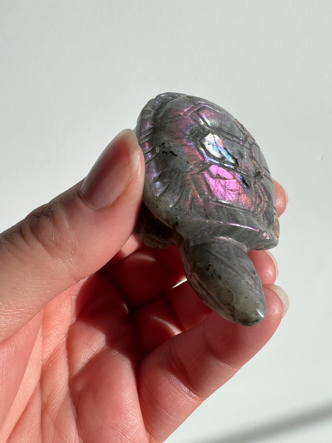 Labradorite Turtle Carving (5)