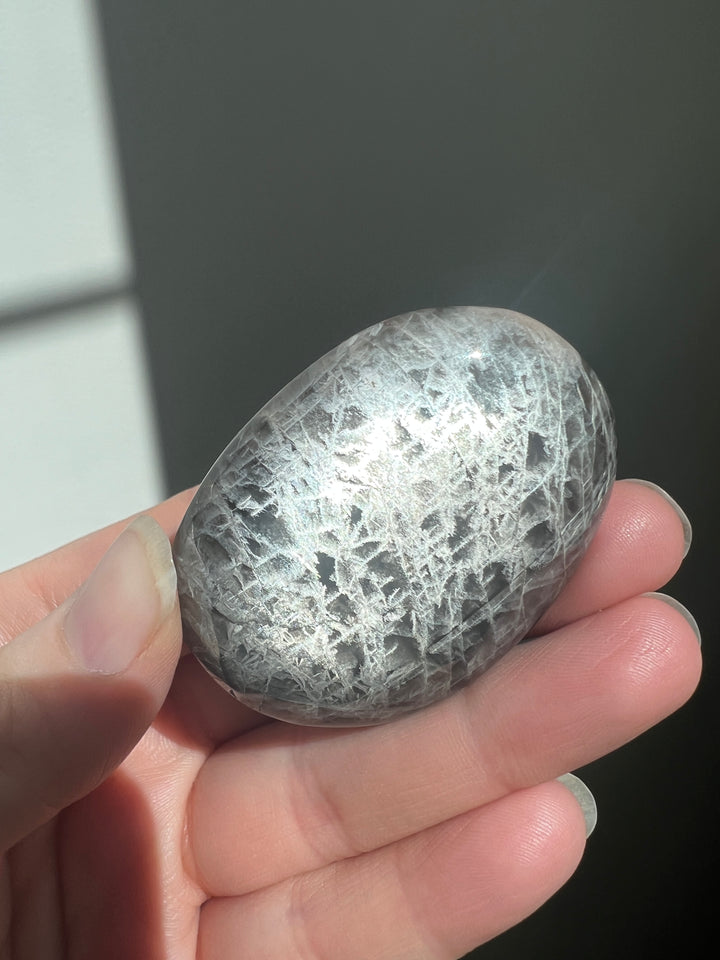 Black Moonstone Palmstone (8)