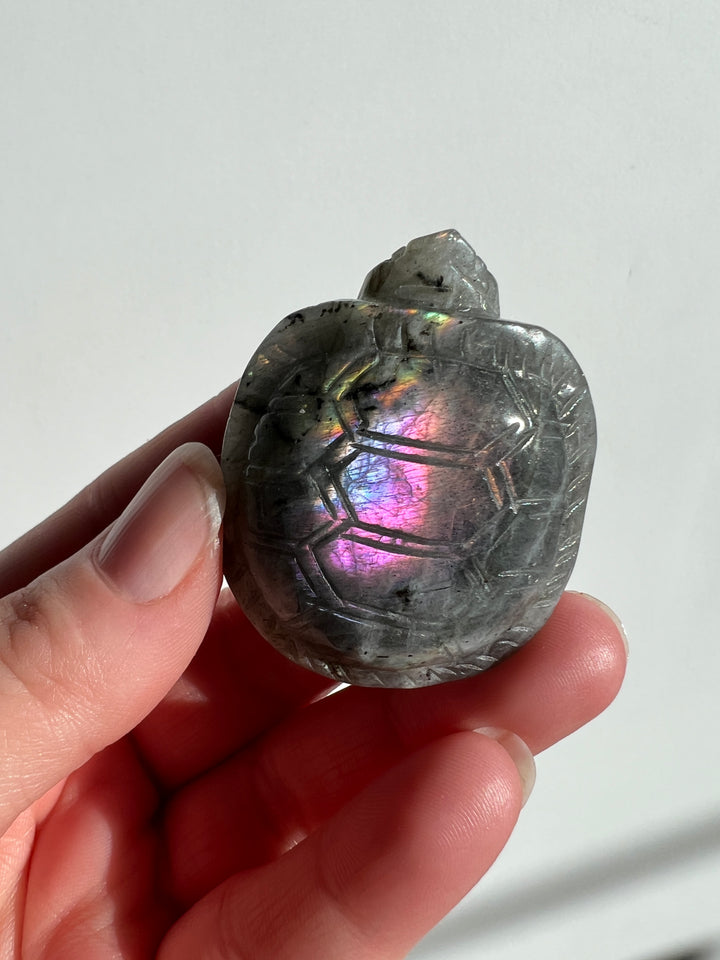 Labradorite Turtle Carving (3)