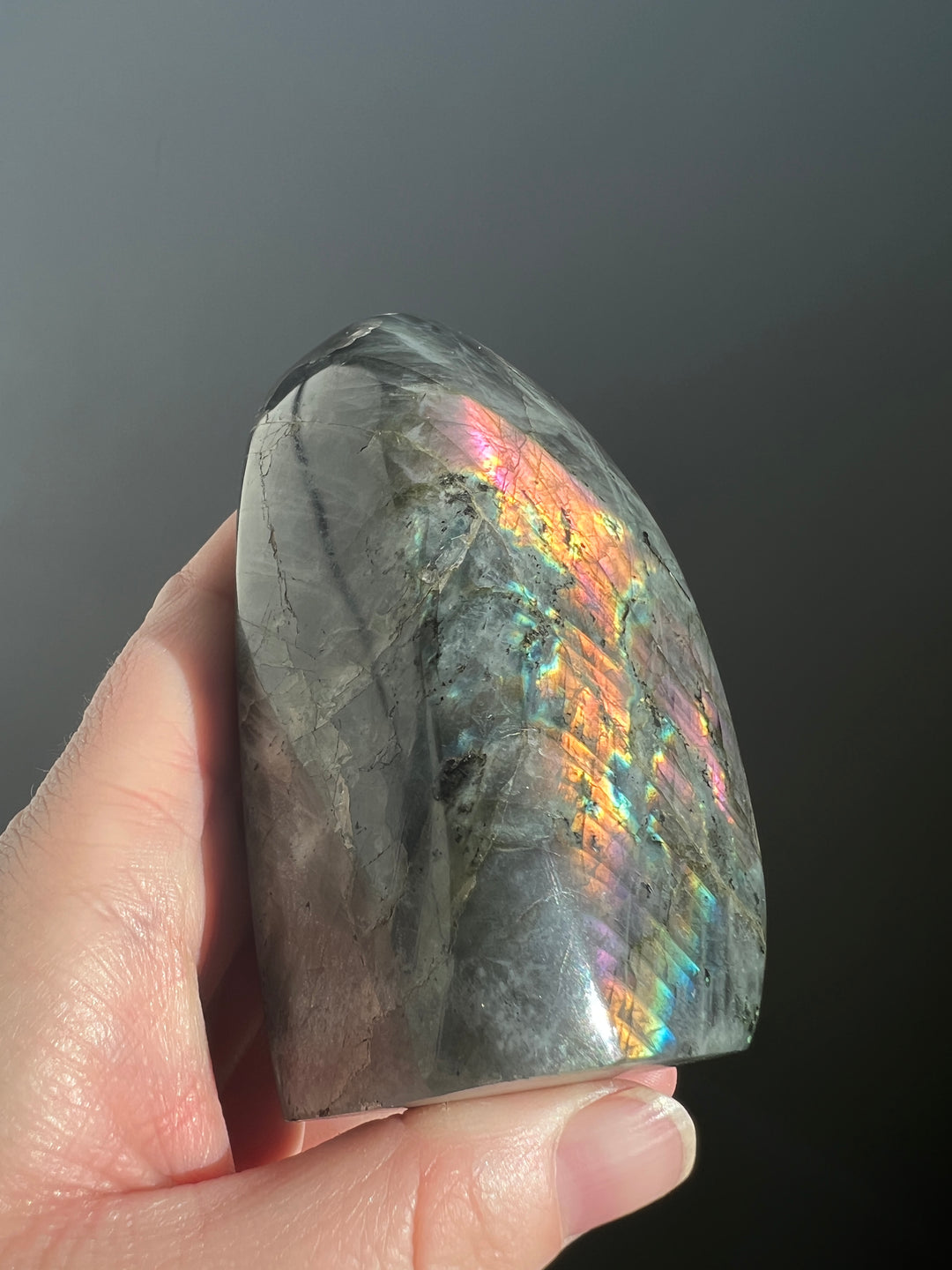 Purple Labradorite Freeform 1 | 570g