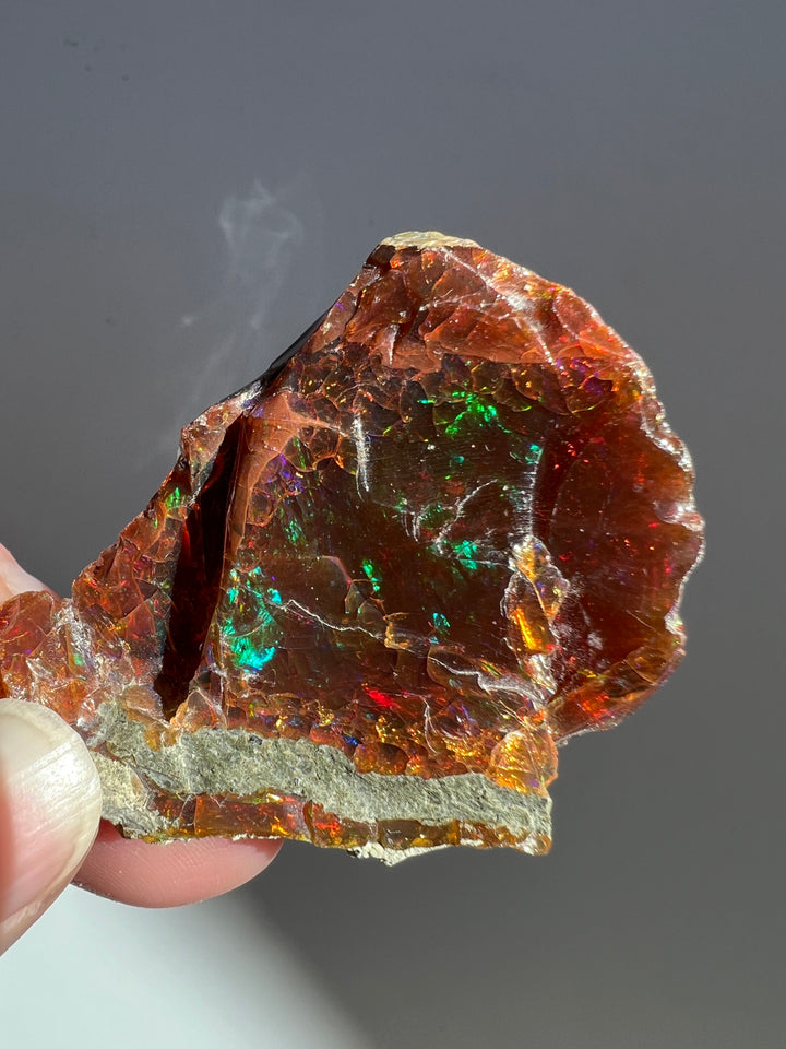 Polished Chocolate Opal (7)