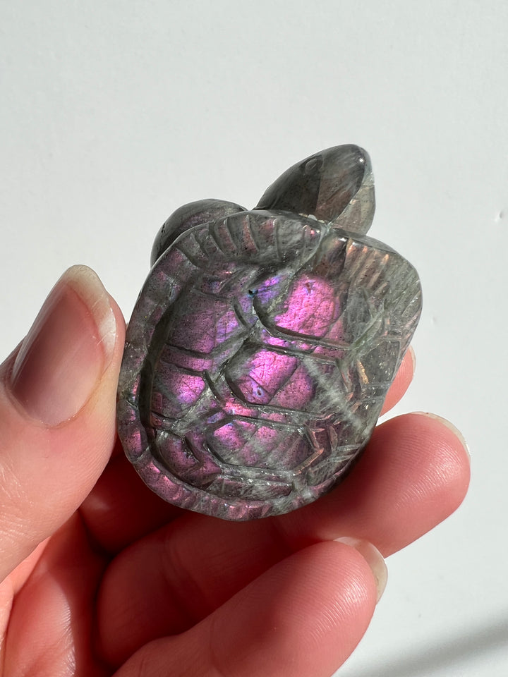 Labradorite Turtle Carving (2)