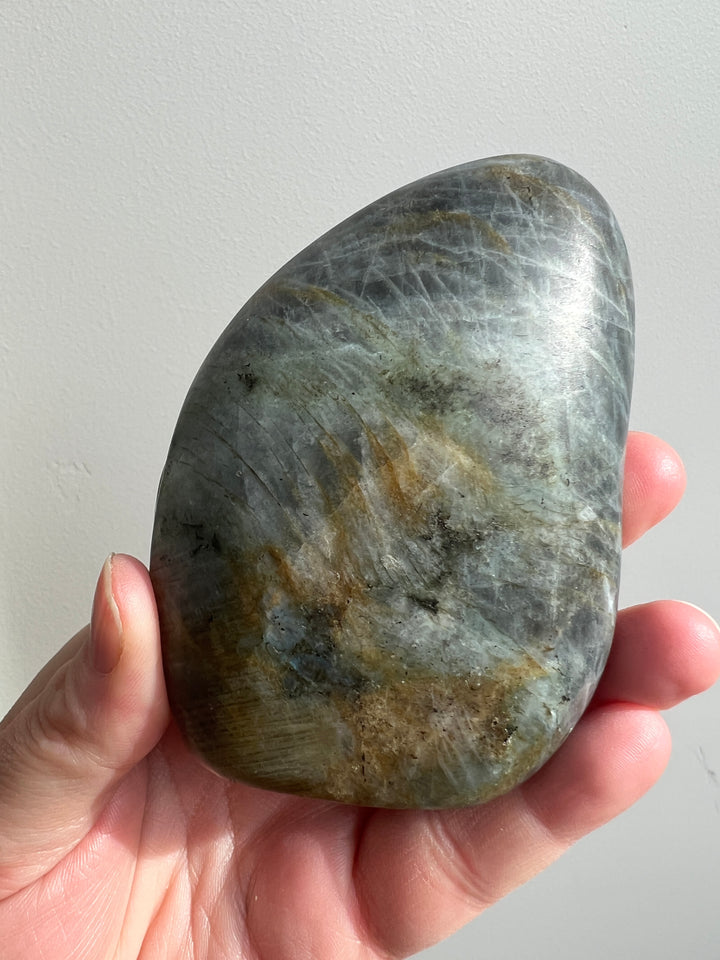 Labradorite Butterfly Carving 3