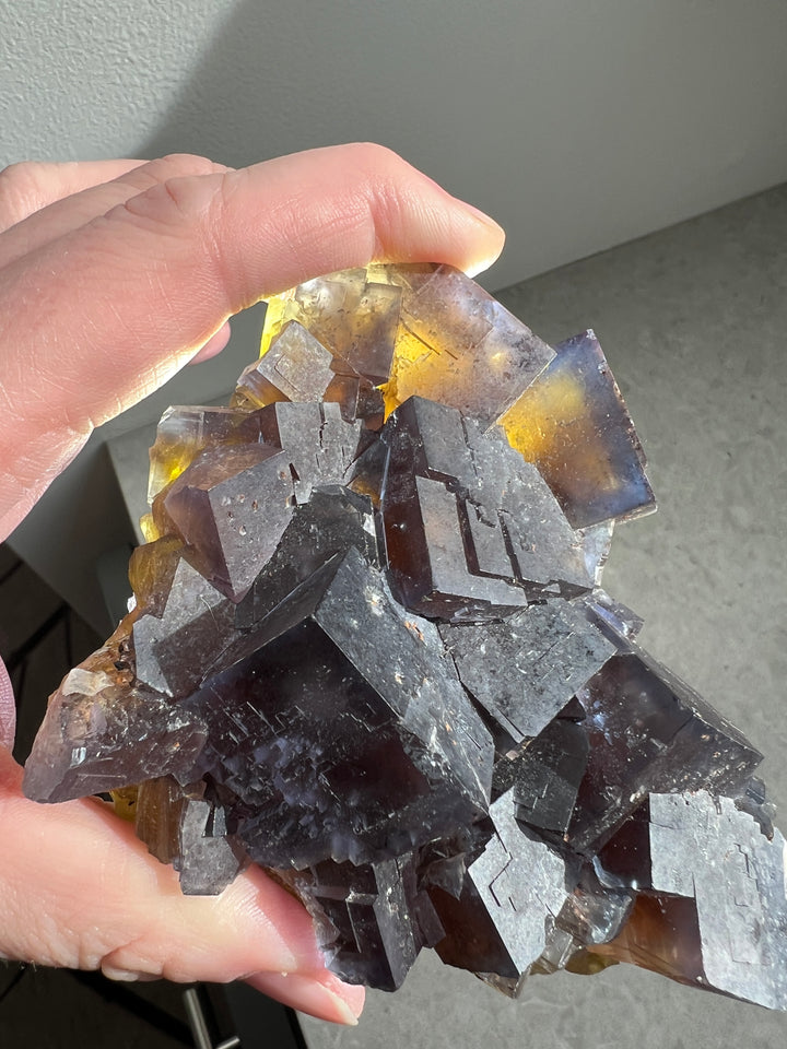 French Fluorite