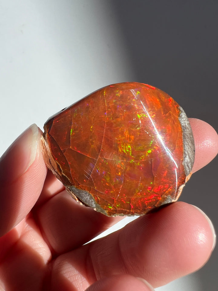 Polished Chocolate Opal (9)