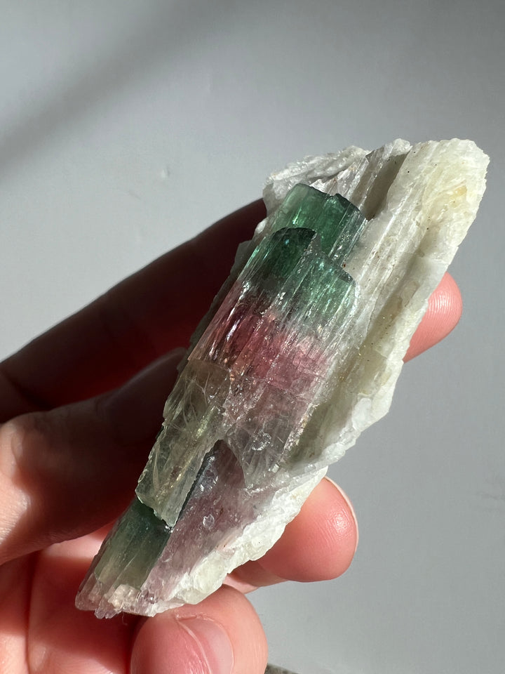 Tri Colored Tourmaline 11