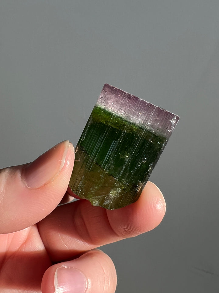 Watermelon Tourmaline (4)