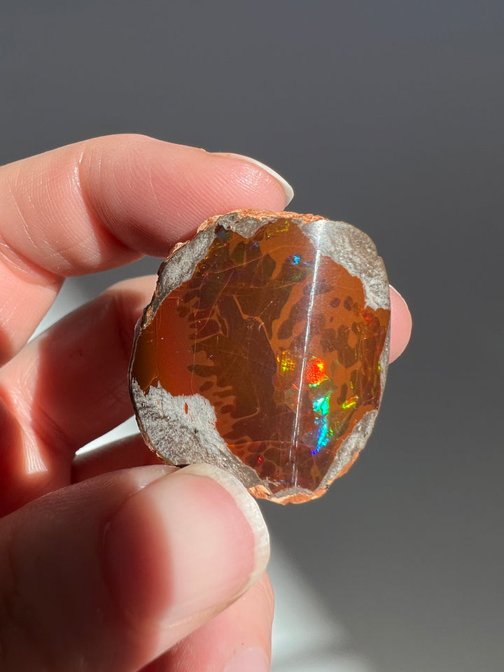 Polished Chocolate Opal (10)