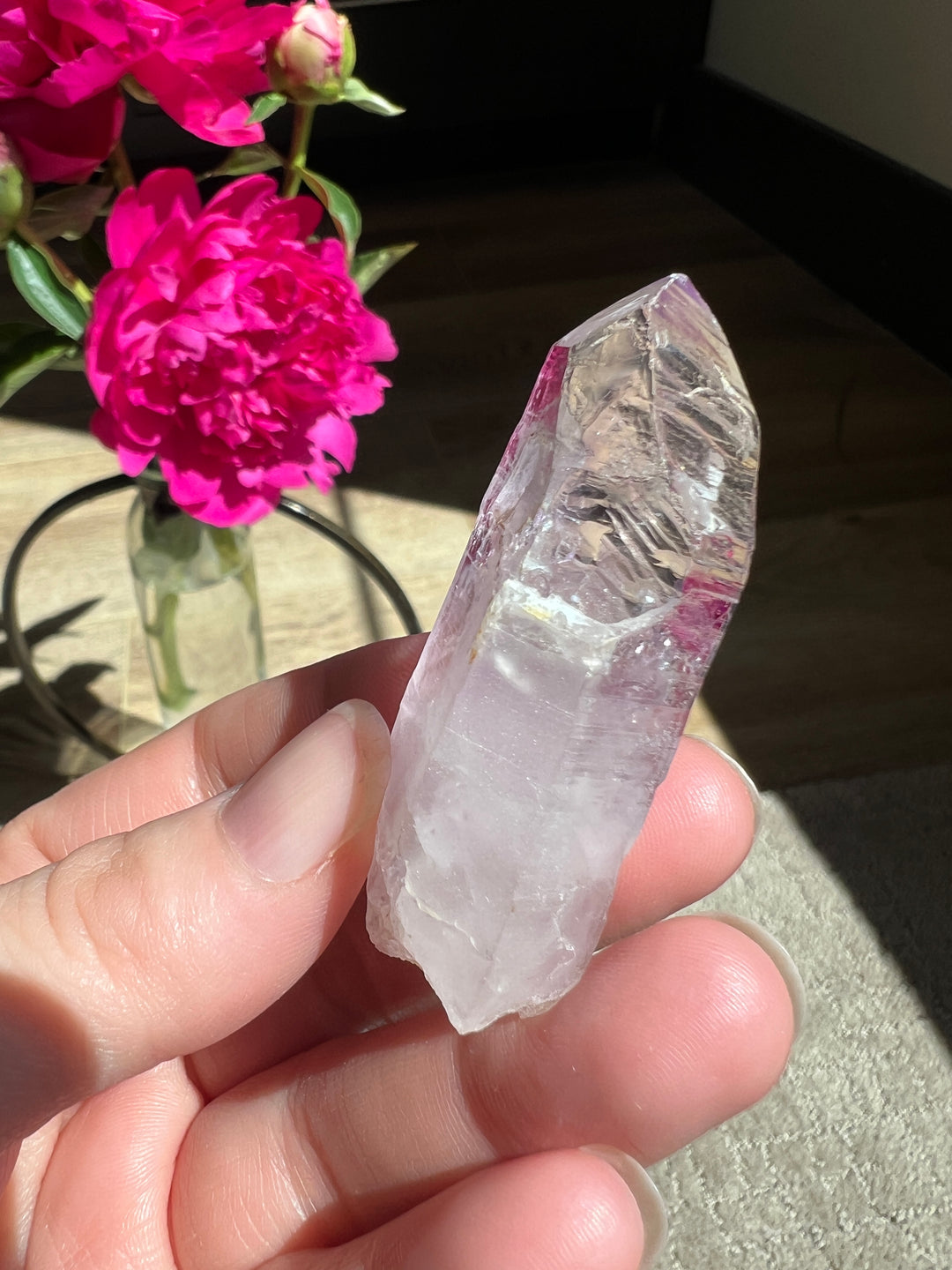 Vera Cruz Amethyst Enhydro