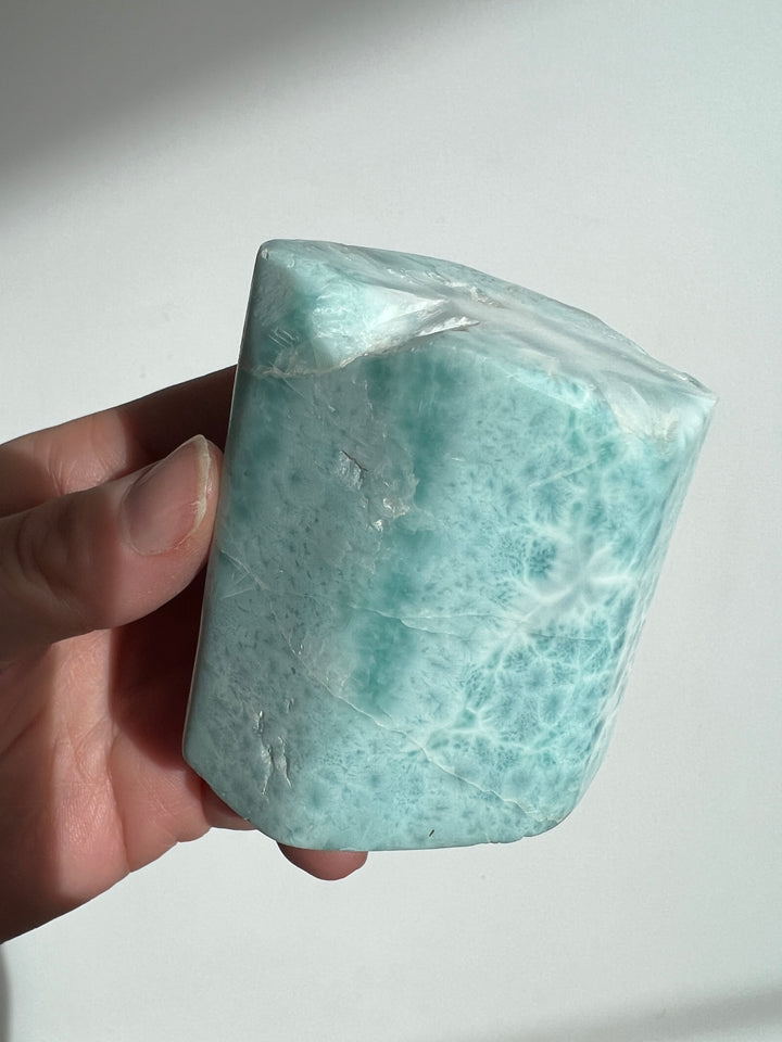 Larimar Freeform 12 314.5g