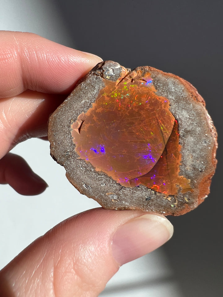 Polished Chocolate Opal (8)