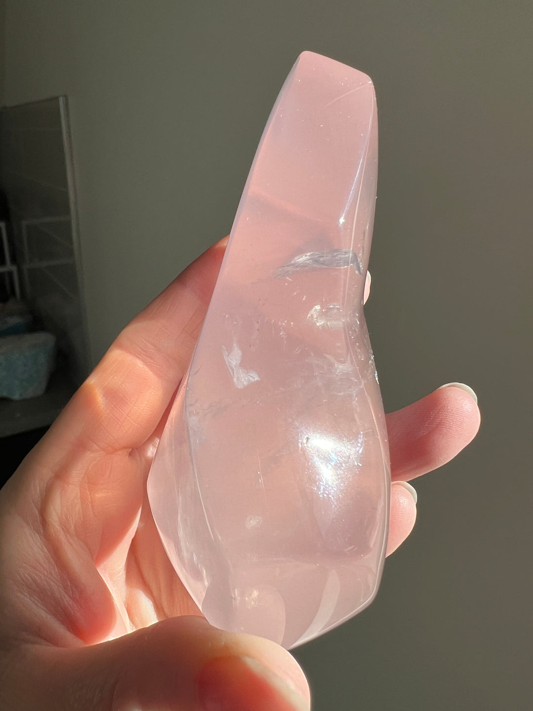 Mozambique Rose Quartz 10 | 285g