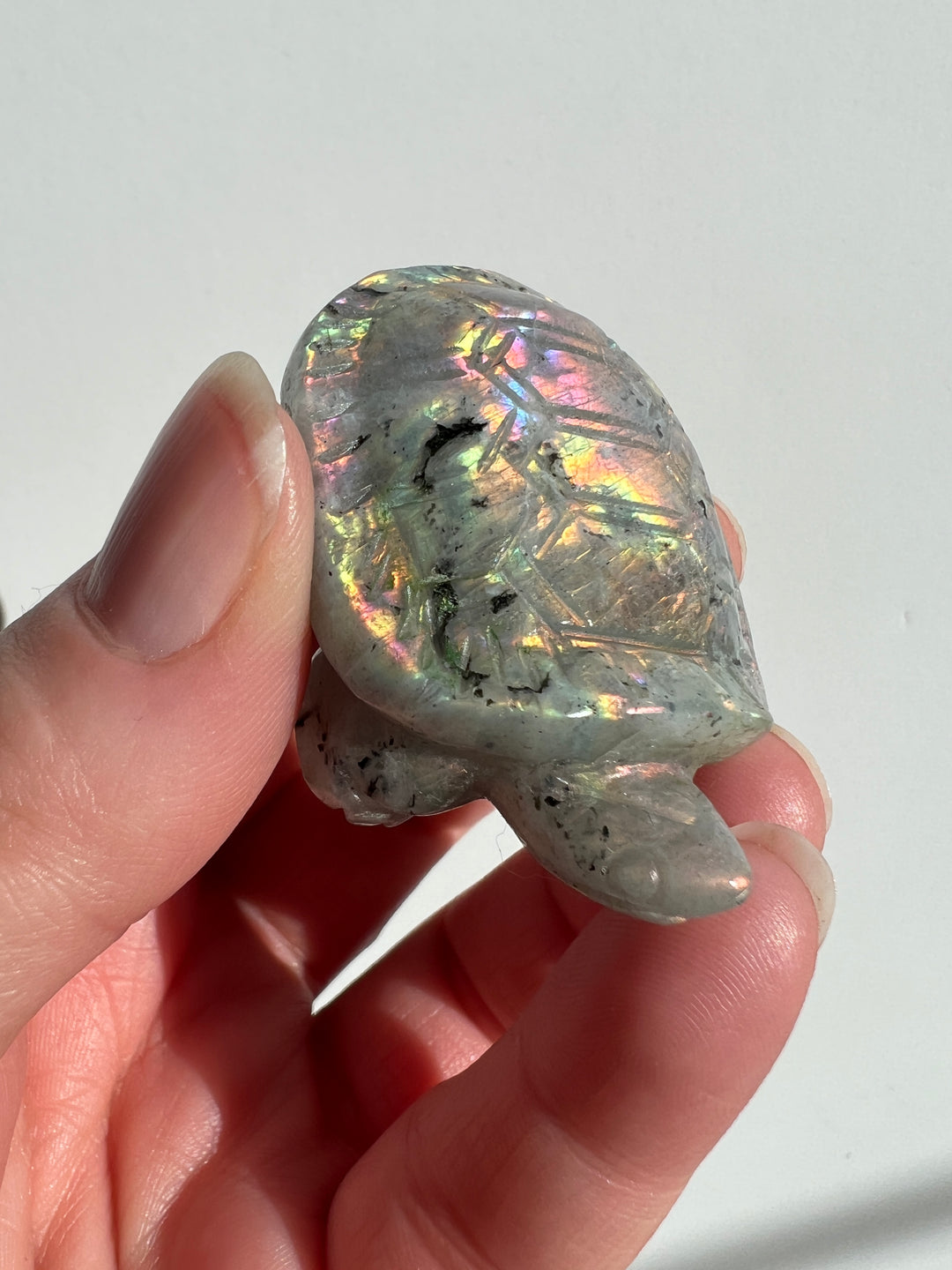 Labradorite Turtle Carving (1)