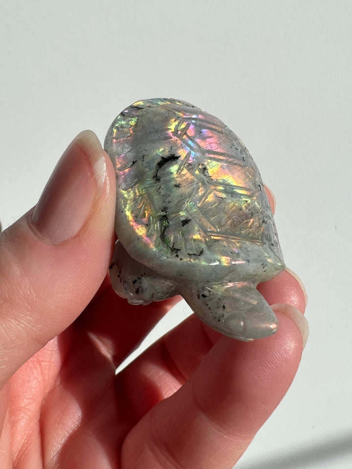 Labradorite Turtle Carving (1)