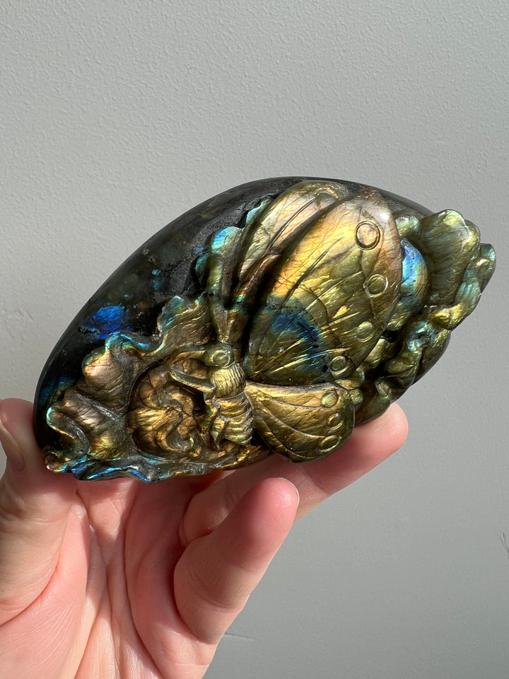 Labradorite Butterfly Carving 1