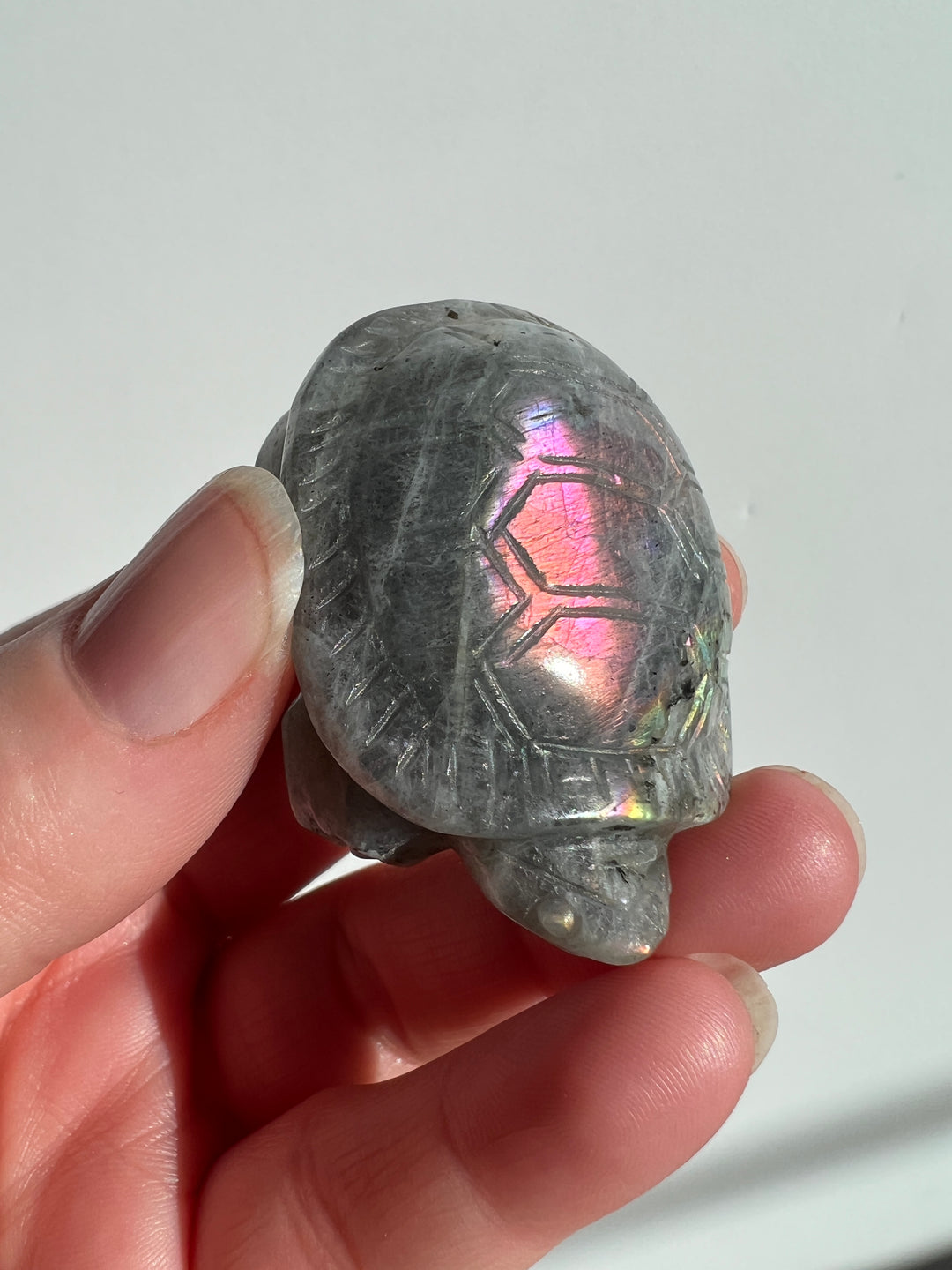 Labradorite Turtle Carving (3)