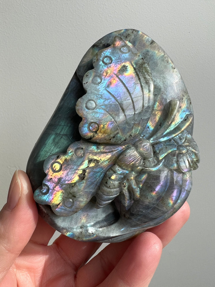 Labradorite Butterfly Carving 3