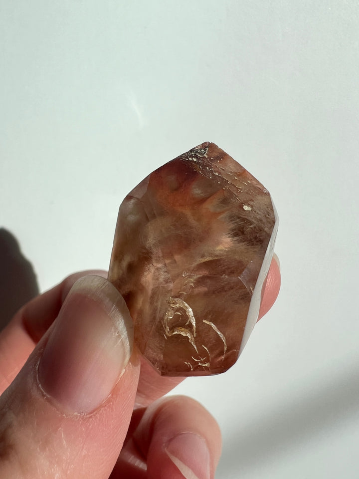 Amphibole Quartz (9)