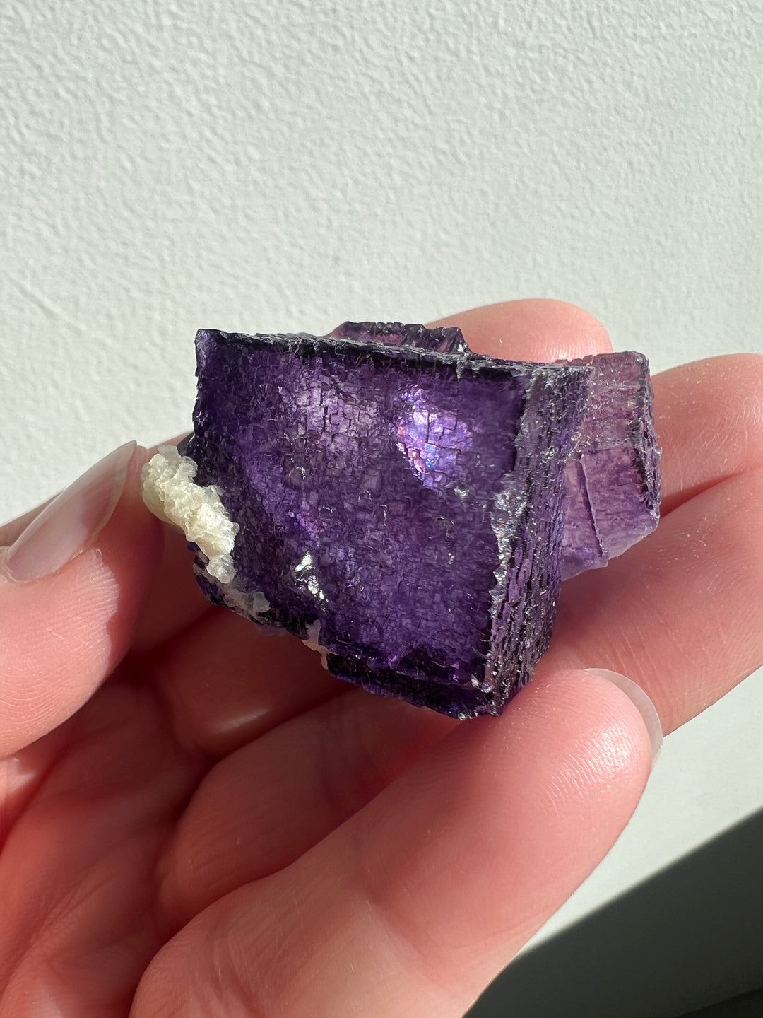 Vibrant Elmwood Fluorite | 51g