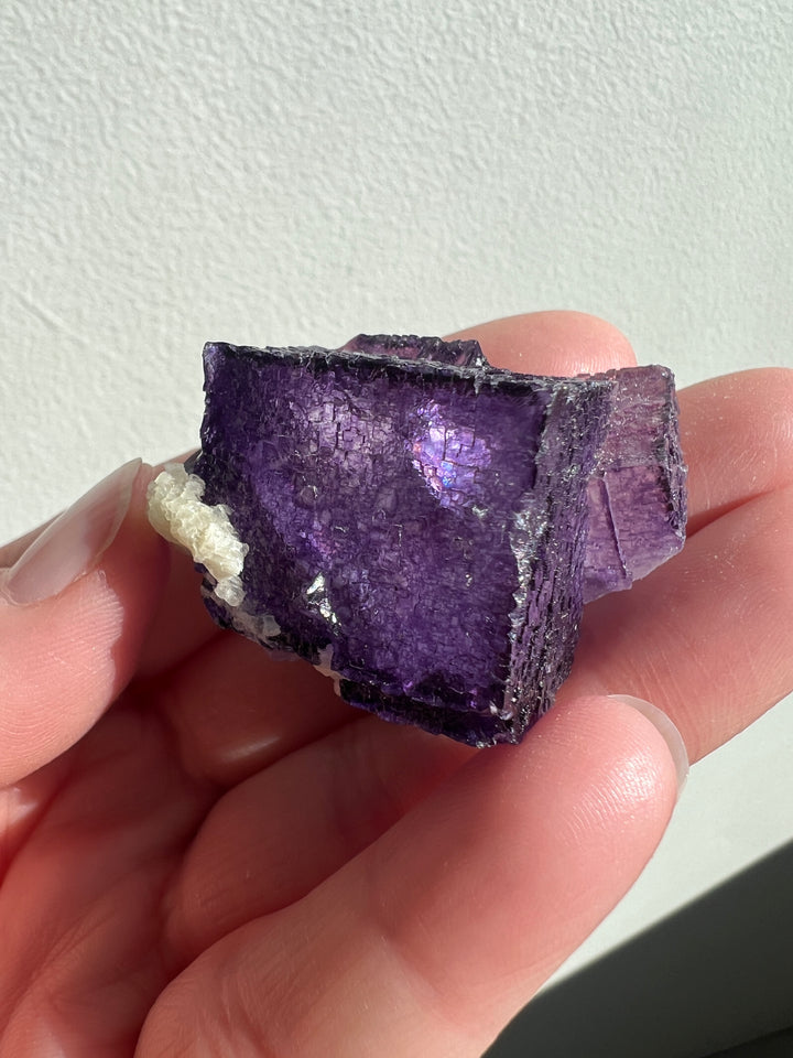 Vibrant Elmwood Fluorite | 51g