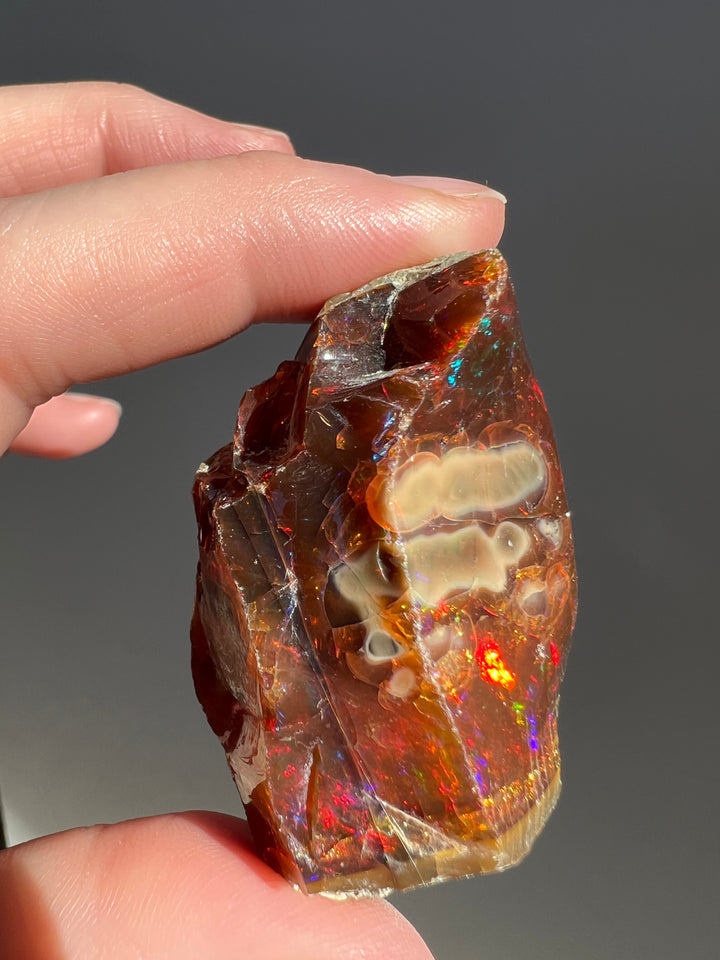 Polished Chocolate Opal (6)