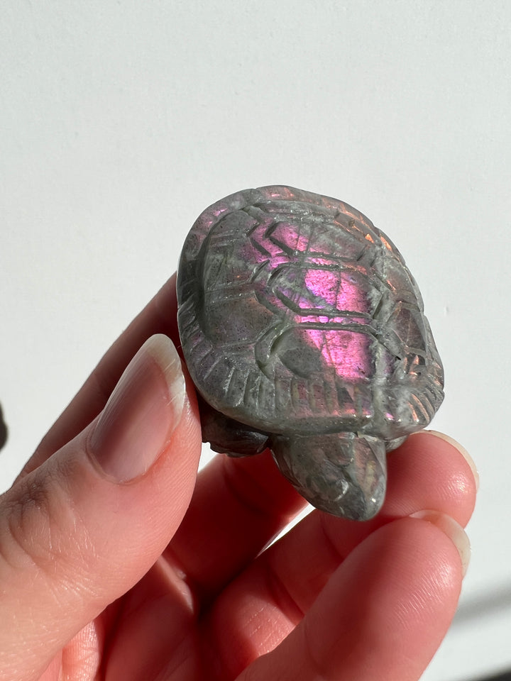 Labradorite Turtle Carving (2)