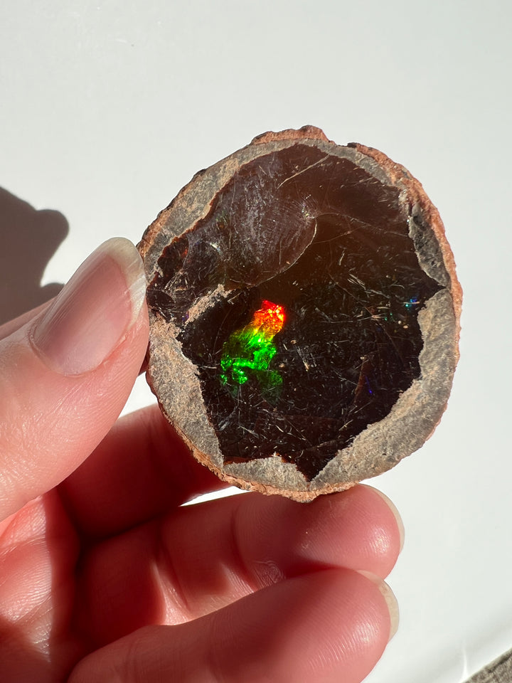 Raw Chocolate Walo Opal (3)