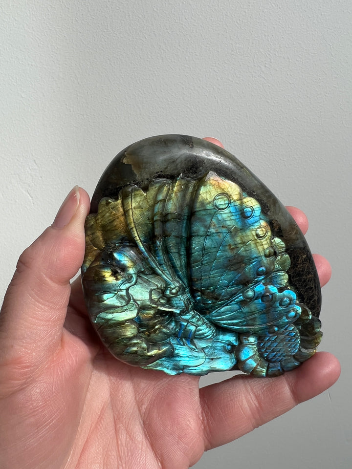 Labradorite Butterfly Carving 10