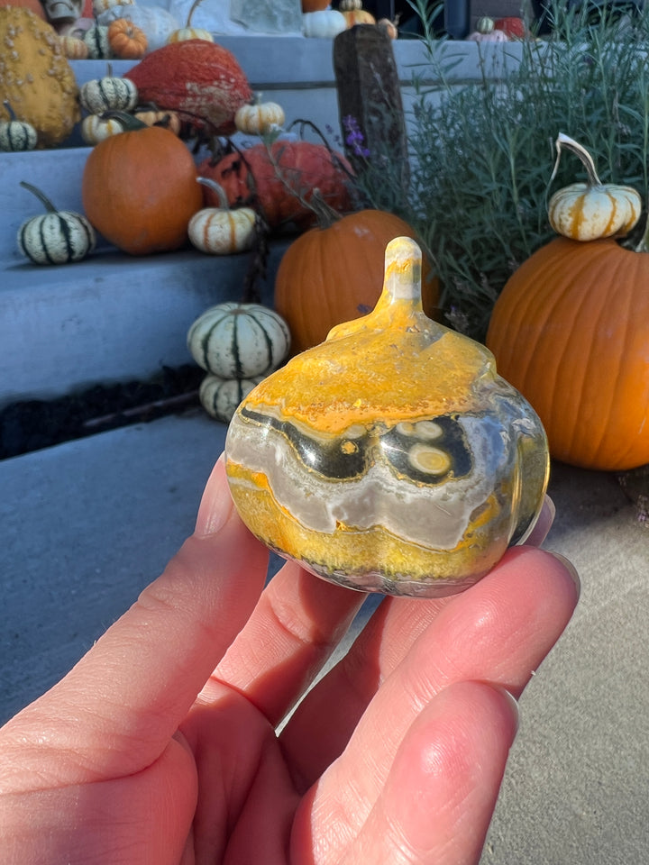 Bumblebee Jasper Pumpkin | 138g