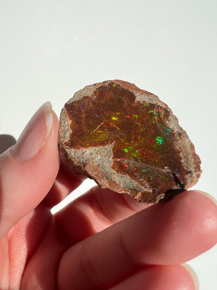 Raw Chocolate Walo Opal (4)