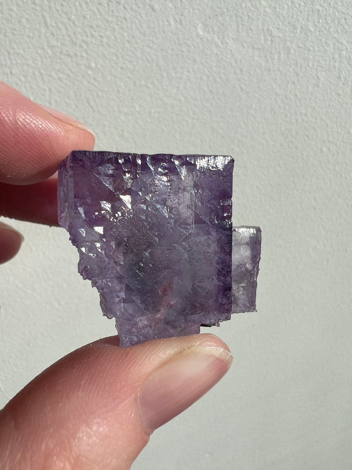 Ojuela Mine Fluorite | 45g