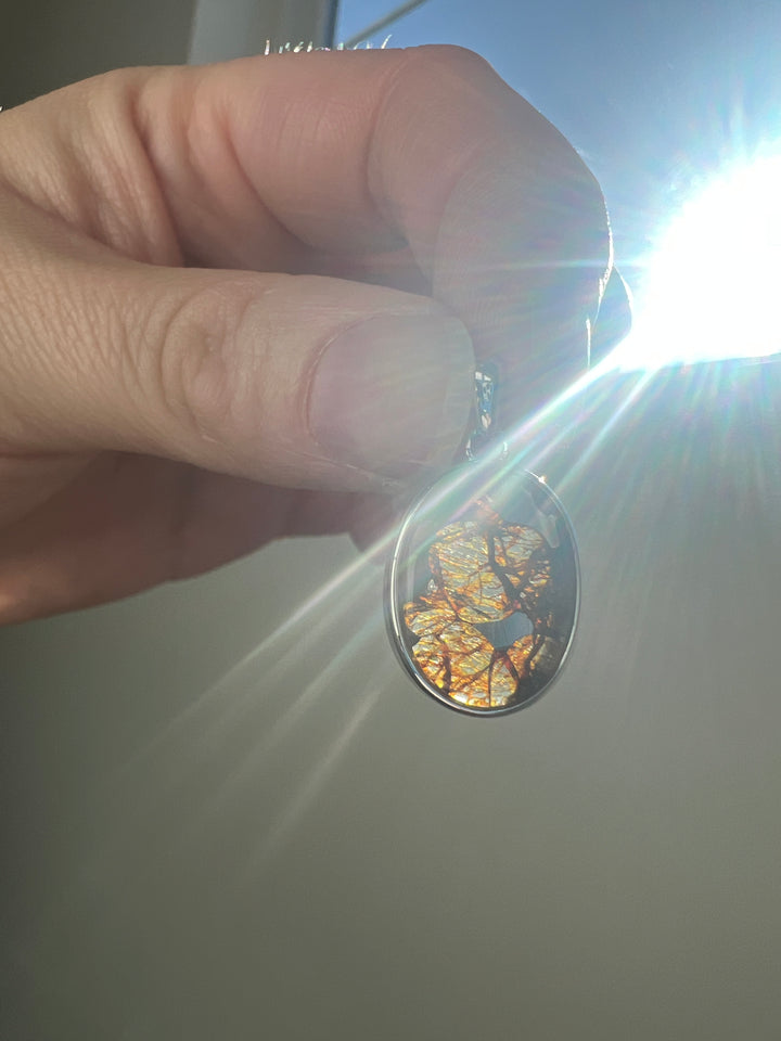 Sericho Pallasite Meteorite Pendant 8