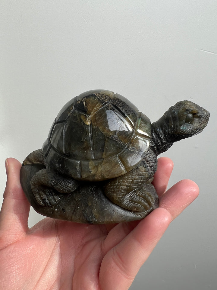 Labradorite Turtle Carving 1