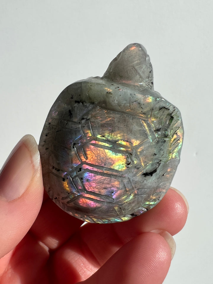 Labradorite Turtle Carving (1)