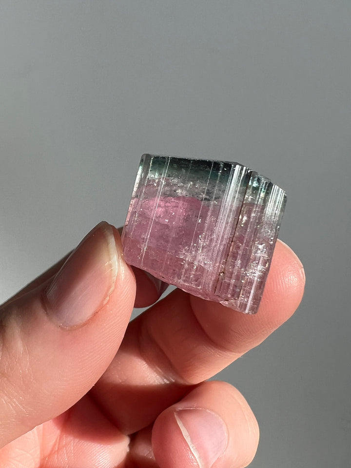 Bicolored Tourmaline Pink and Blue 6