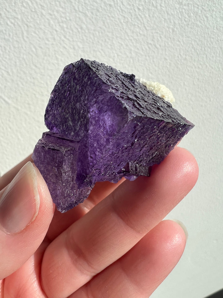 Vibrant Elmwood Fluorite | 51g