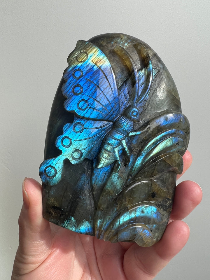 Labradorite Butterfly Carving 6