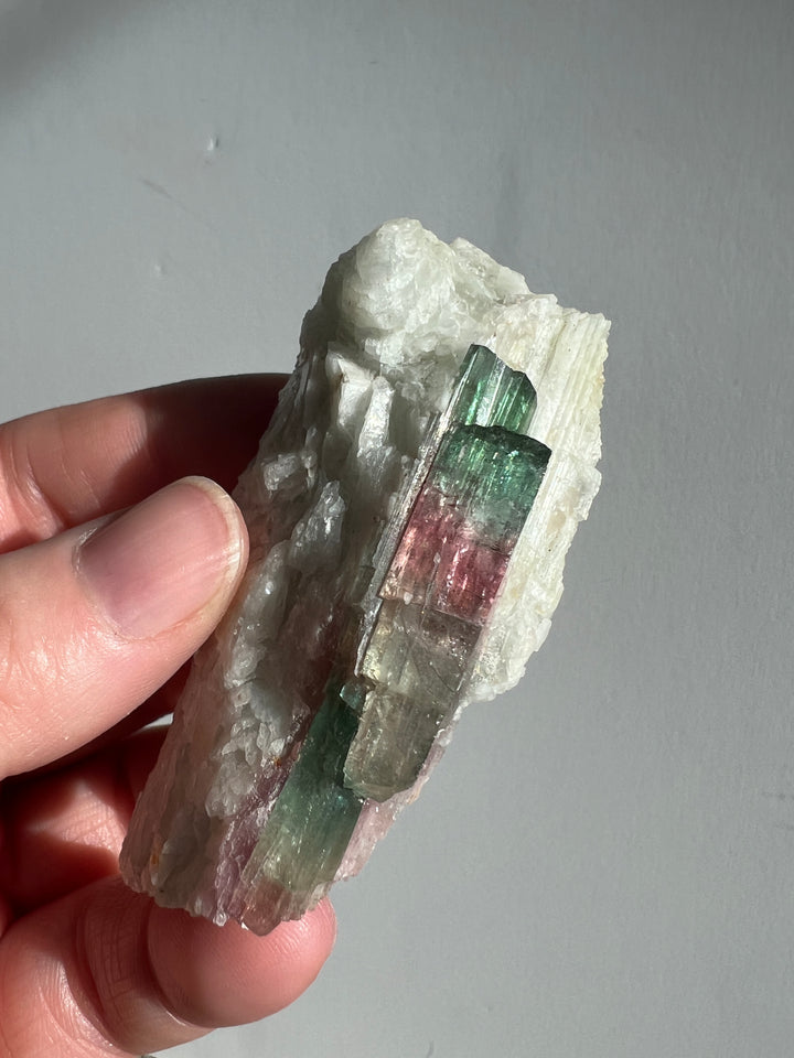 Tri Colored Tourmaline 11